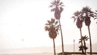 红桃免费视频官方网址-纪录片片段